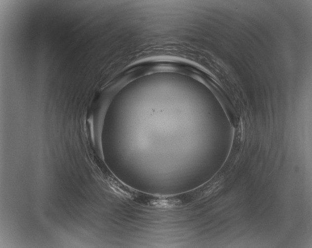 X0000084010558200702161204