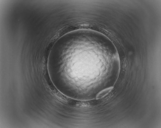 X0000084010559200702161204