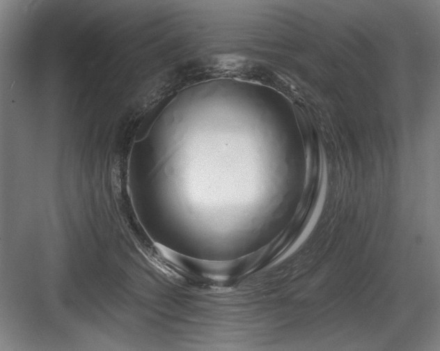 X0000084010562200702161204