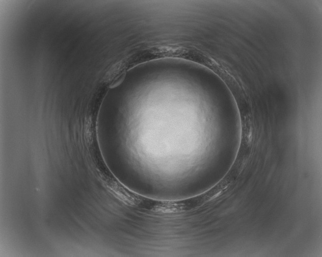 X0000084010563200702161204