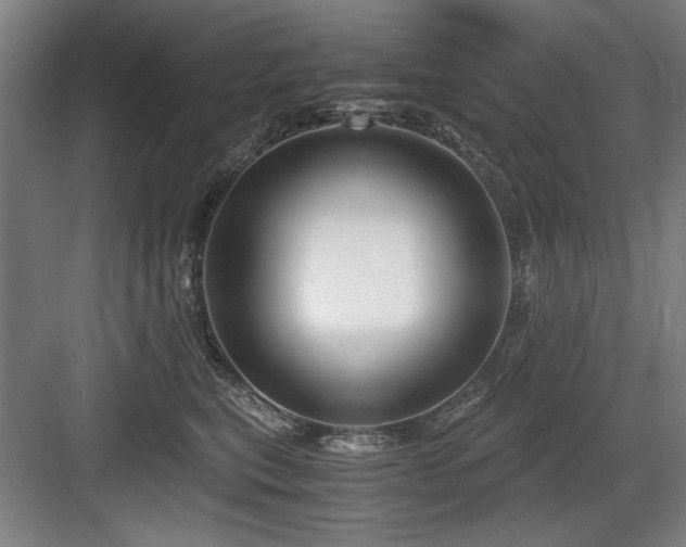 X0000084010567200702161204