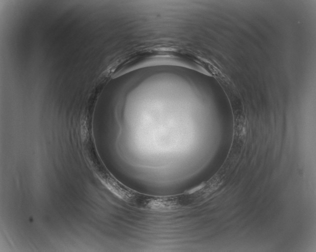 X0000084010568200702161204