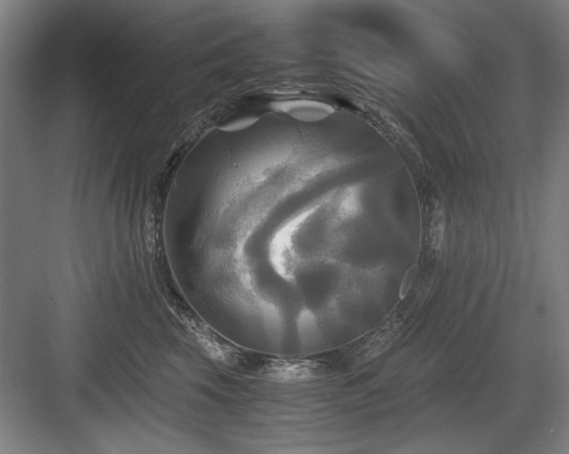 X0000084010569200702161204