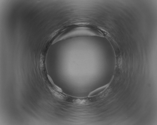X0000084010570200702161204