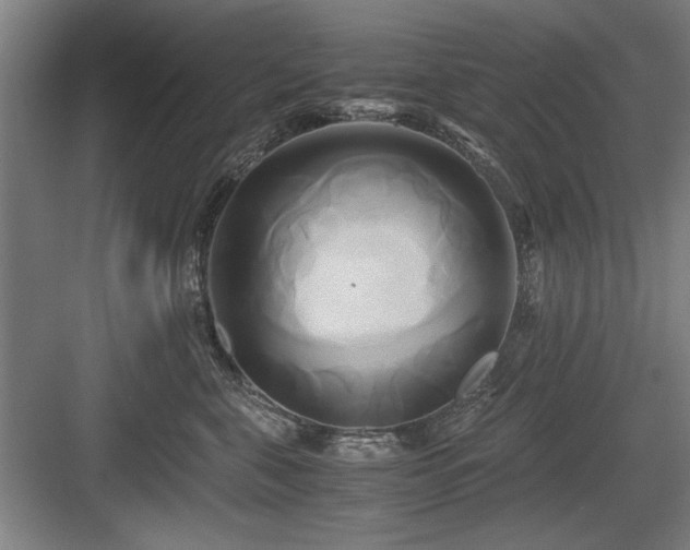X0000084010571200702161205