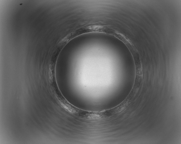X0000084010572200702161205
