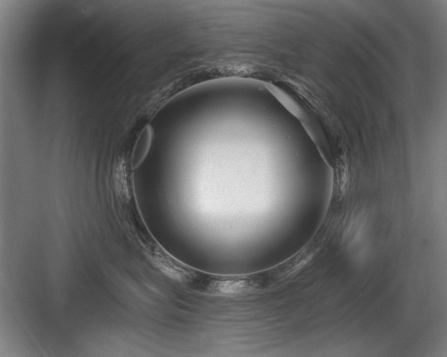 X0000084010575200702161205
