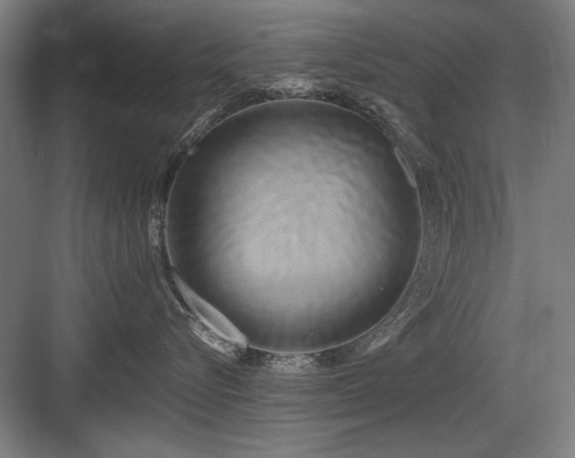 X0000084010576200702161205