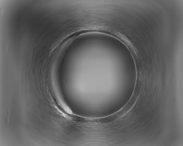 X0000084010577200702161204