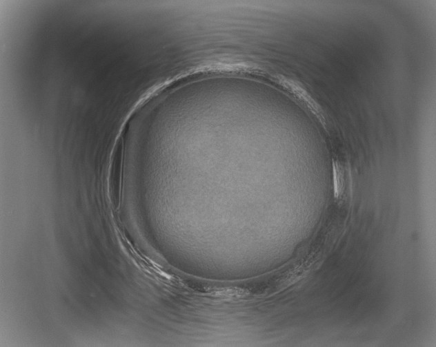 X0000084010579200702161204