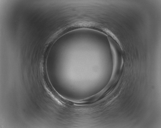 X0000084010581200702161204