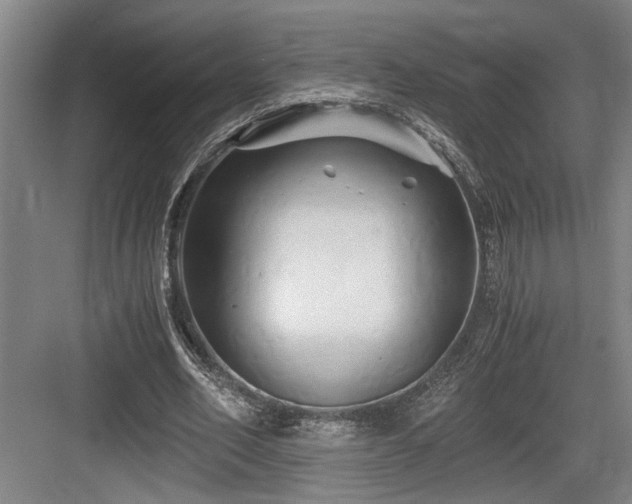 X0000084010582200702161204