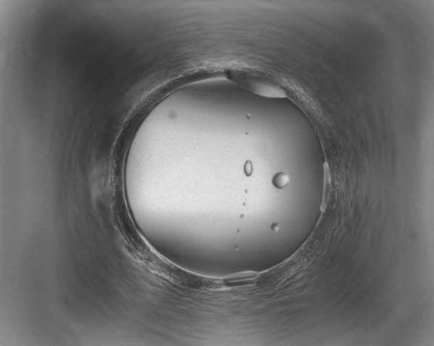 X0000084010583200702161204