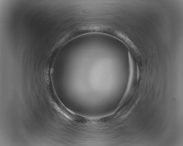 X0000084010585200702161204