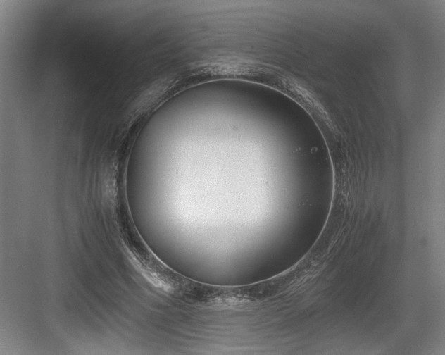 X0000084010586200702161204