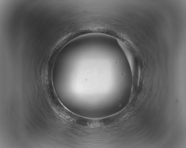 X0000084010587200702161204