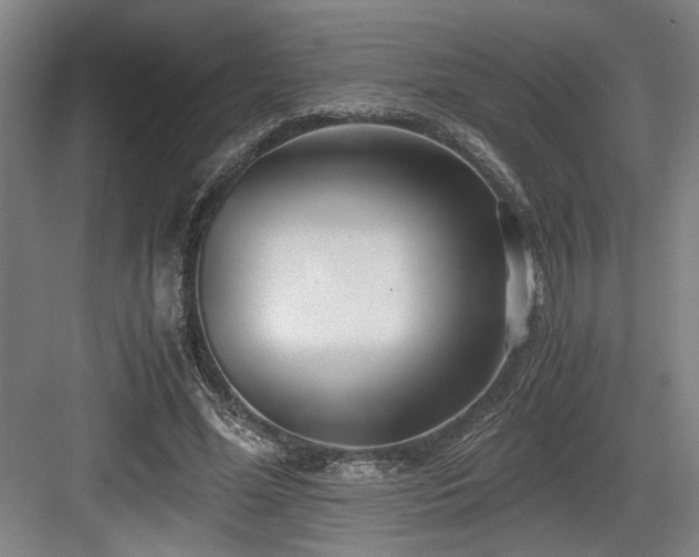 X0000084010588200702161204