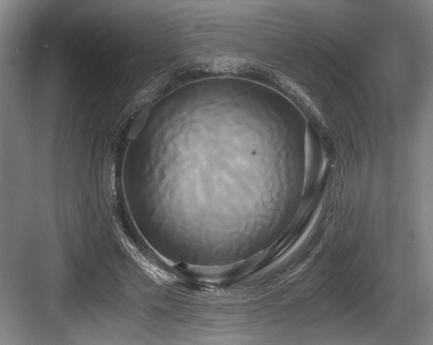 X0000084010589200702161204