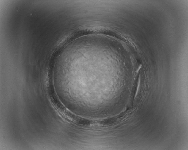 X0000084010591200702161204