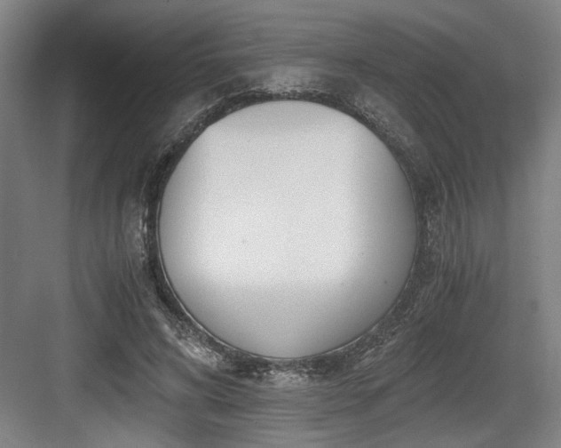 X0000084010592200702161204