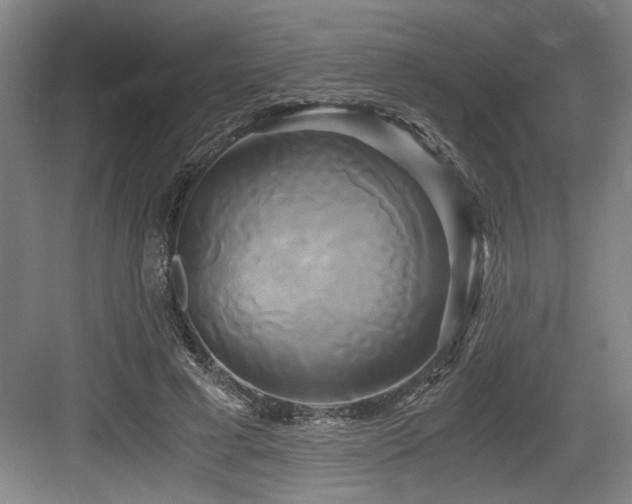 X0000084010593200702161204