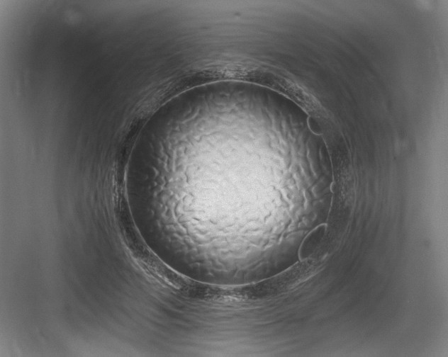 X0000084010594200702161203