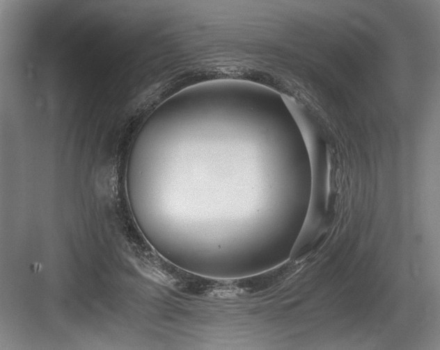 X0000084010595200702161203