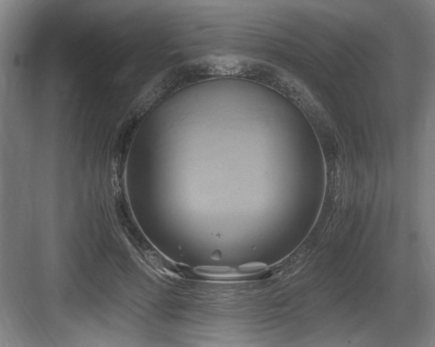 X0000084010598200702161203