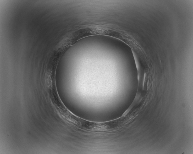 X0000084010599200702161203