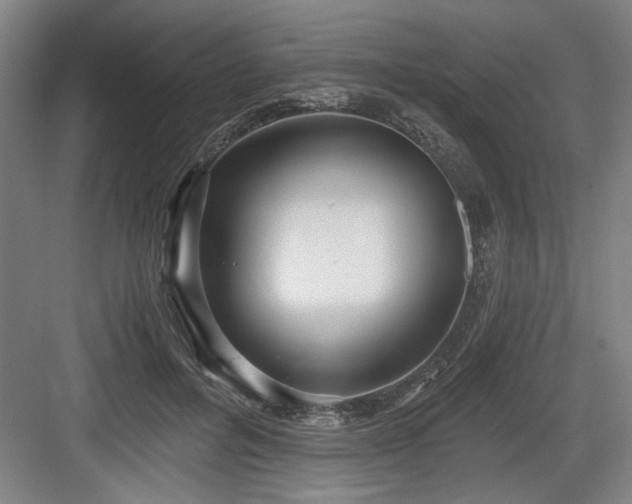 X0000084010600200702161203
