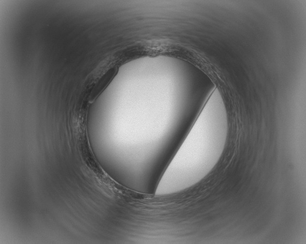 X0000084010601200702161203