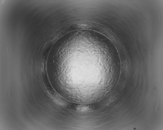 X0000084010602200702161203