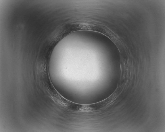 X0000084010603200702161203
