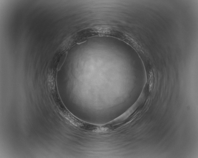 X0000084010609200702161203