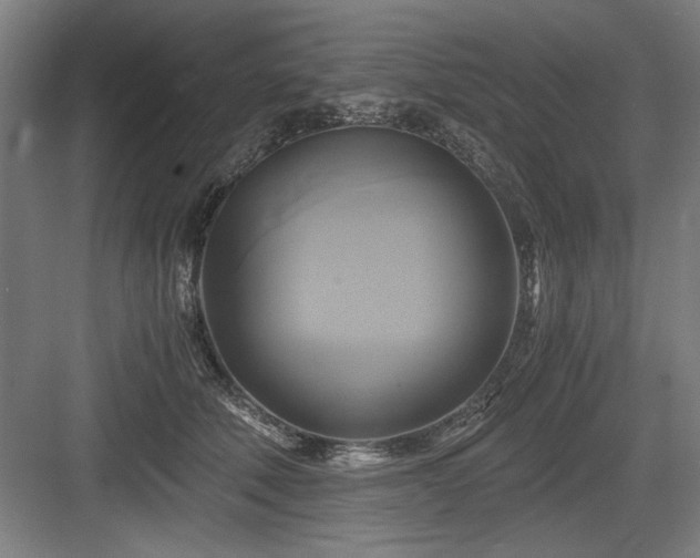 X0000084010610200702161203