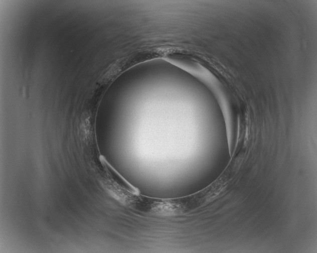 X0000084010611200702161203