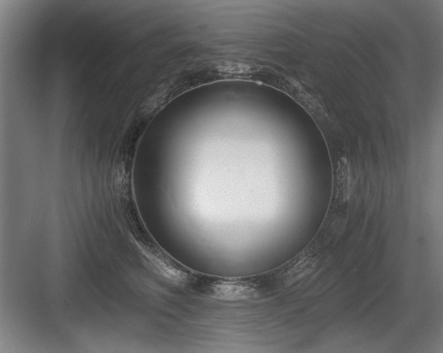 X0000084010614200702161203