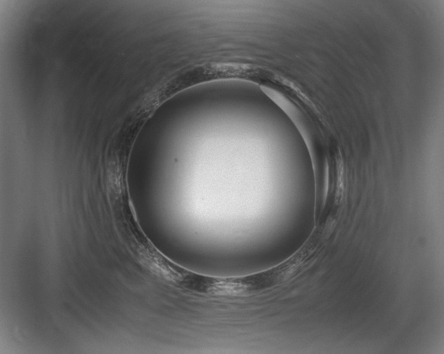 X0000084010617200702161203