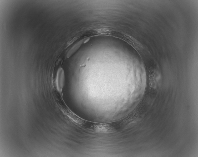 X0000084010618200702161203
