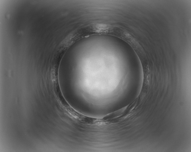 X0000084010620200702161203