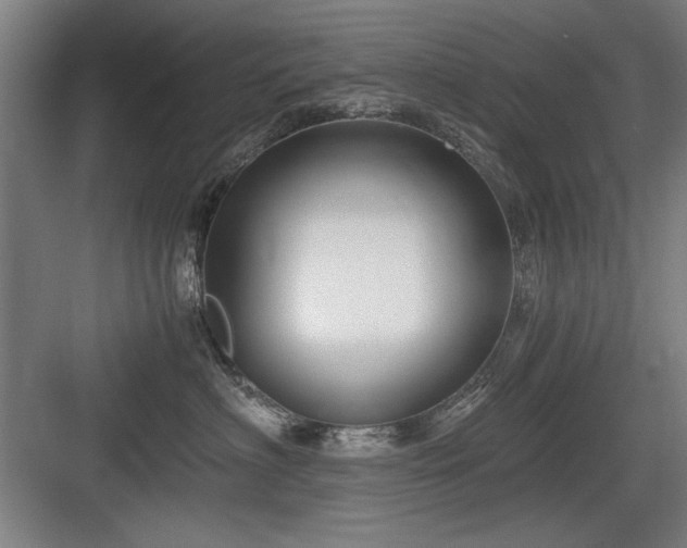X0000084010622200702161203