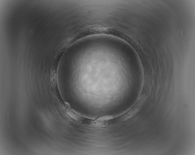 X0000084010624200702161203