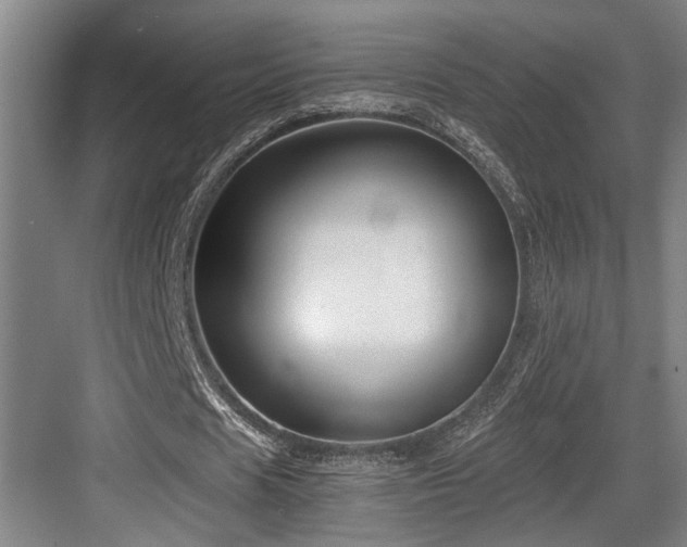 X0000084010625200702161202