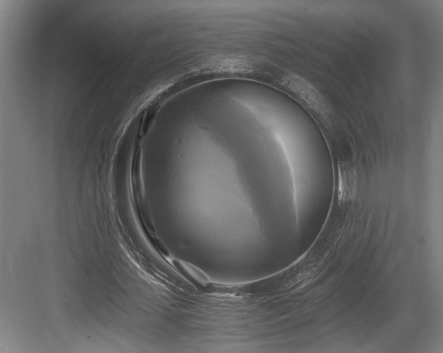 X0000084010627200702161202
