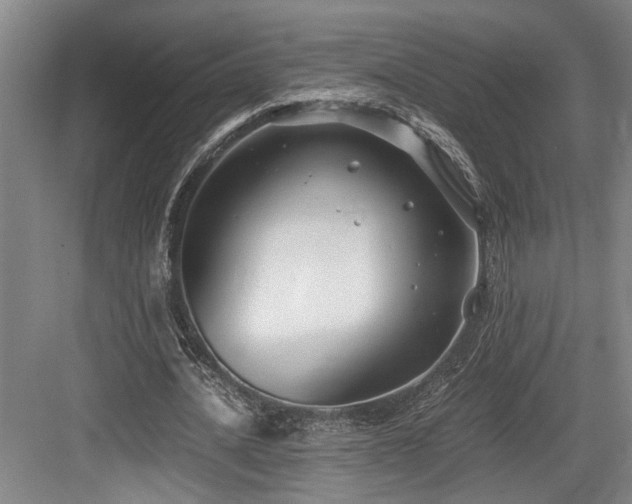 X0000084010628200702161202