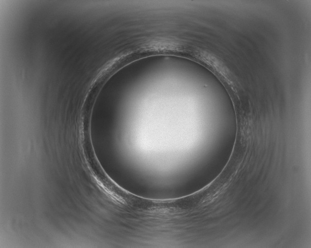 X0000084010629200702161202