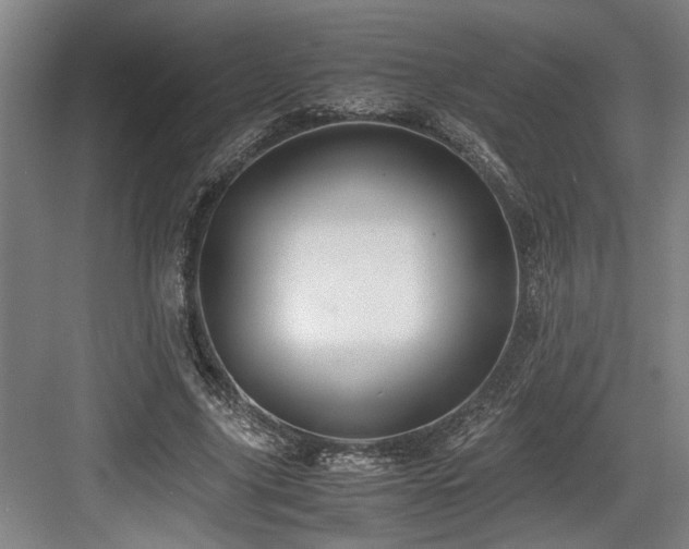 X0000084010635200702161202