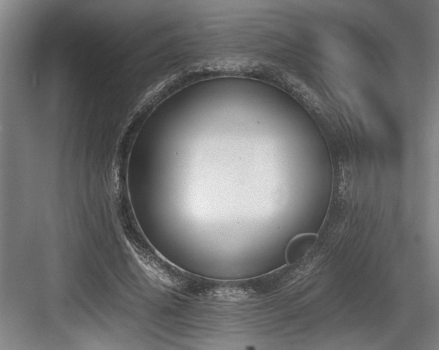 X0000084010636200702161202