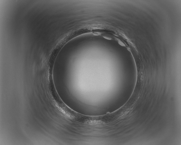 X0000084010637200702161202