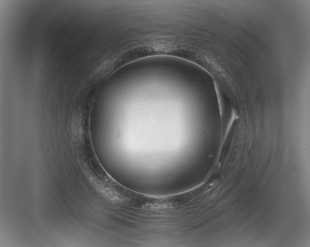 X0000084010639200702161202